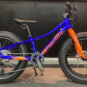 Kaytettypyora__Specialized_20__fatbike