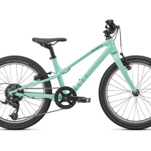 Specialized_20___Jett_1v___GLOSS_OASIS___FOREST_GREEN