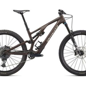 Specialized_29___Stumpjumper_Evo_Comp_Carbon__S4_