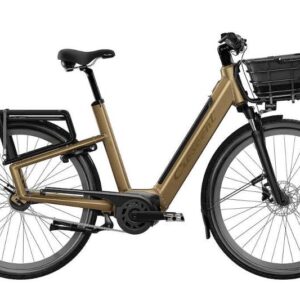 YEC9155031_Crescent_28_Elston_20_5v_50cm__jpg